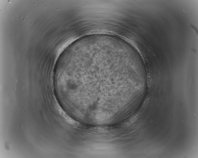 X0000102780995200809151058