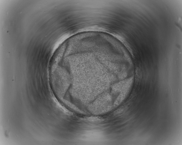 X0000102780998200809151058