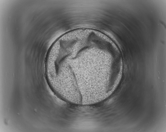 X0000102780999200809151058