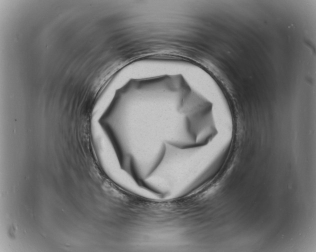 X0000102781001200809151058