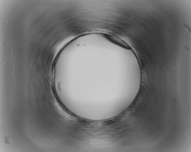 X0000102781003200809151058