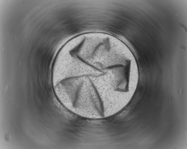 X0000102781004200809151058