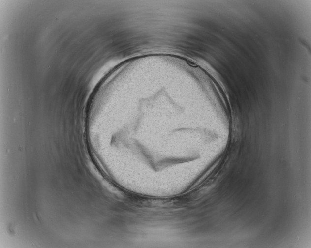 X0000102781005200809151058