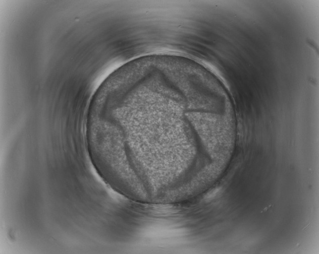 X0000102781007200809151058