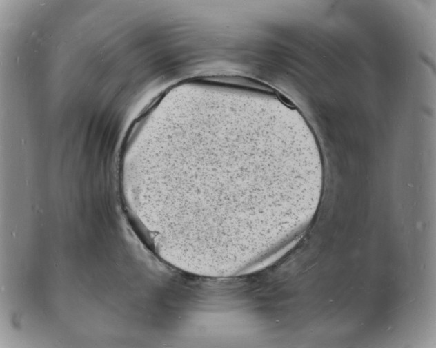 X0000102781008200809151058