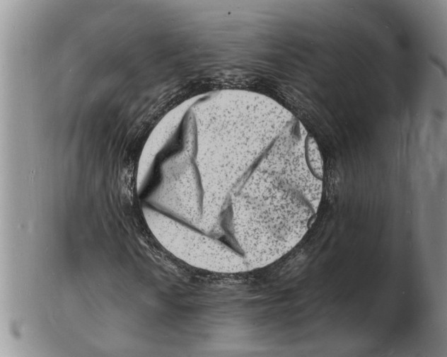 X0000102781010200809151058