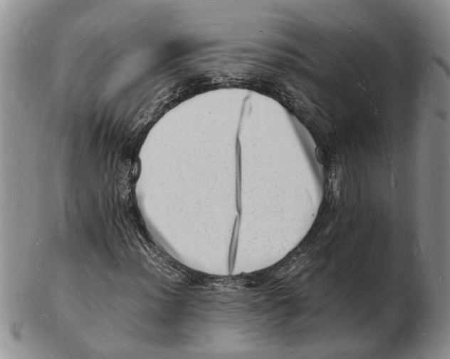 X0000102781012200809151058