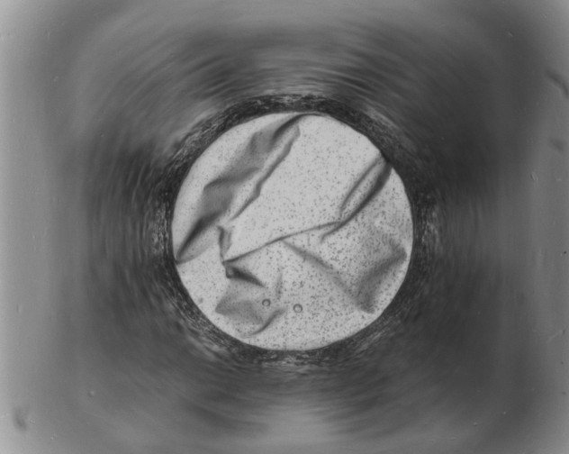 X0000102781014200809151058