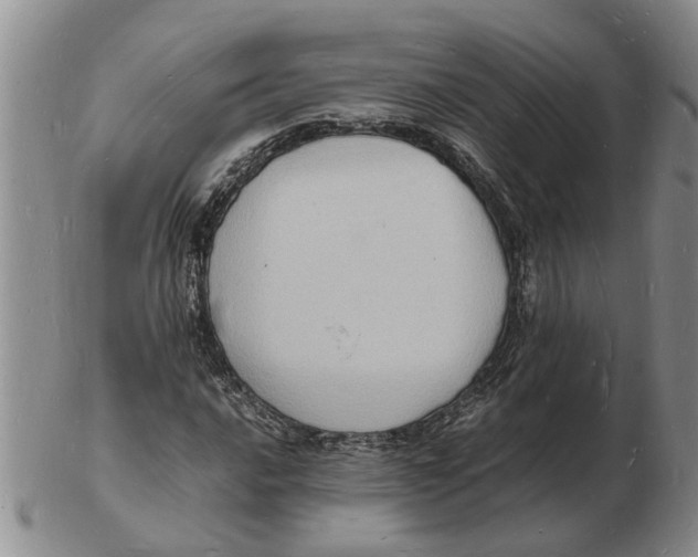 X0000102781016200809151058