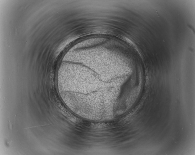 X0000102781019200809151058