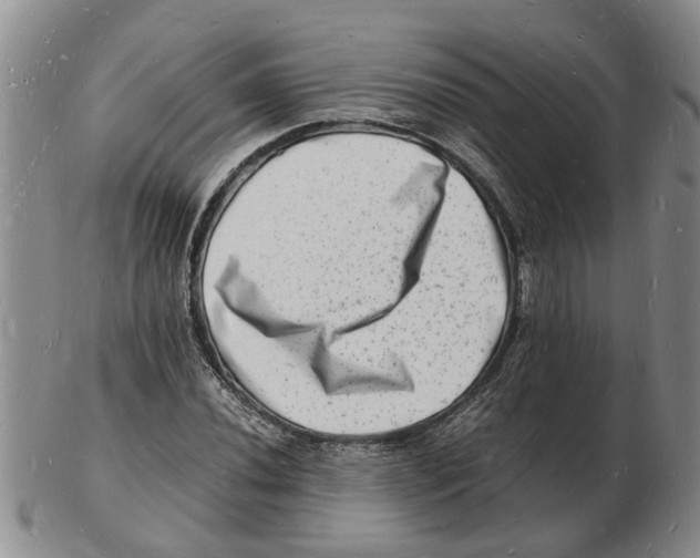 X0000102781020200809151058