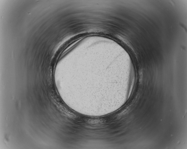 X0000102781021200809151058