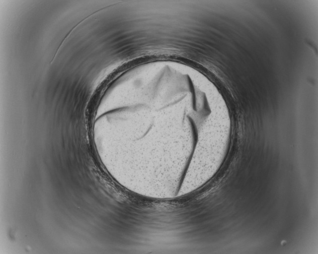 X0000102781022200809151058