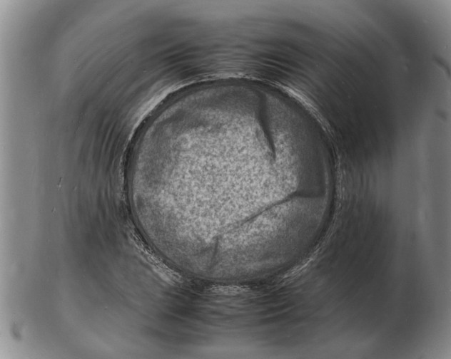 X0000102781023200809151058