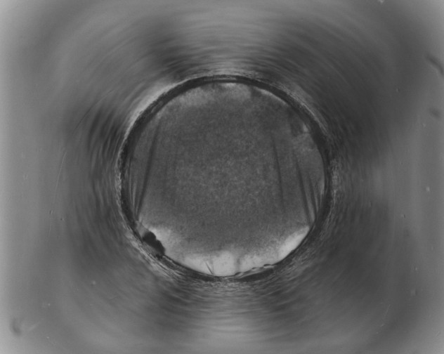 X0000102781024200809151058