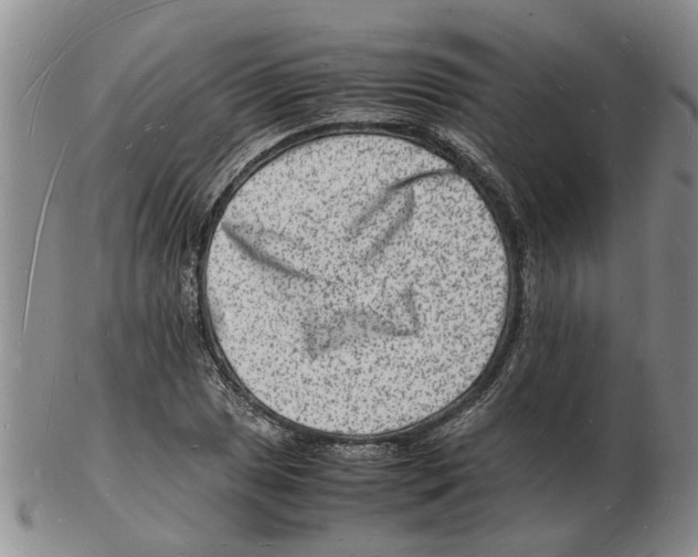 X0000102781025200809151058