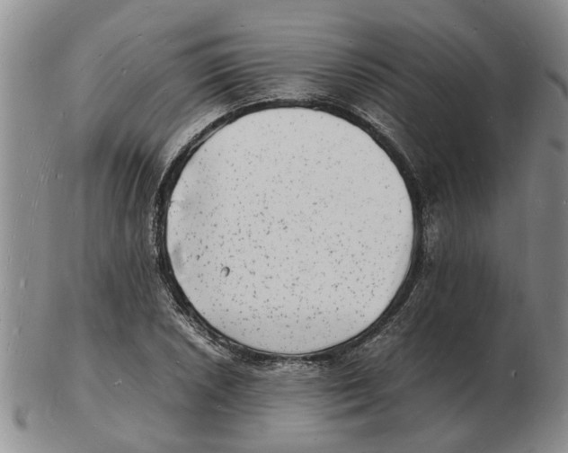 X0000102781026200809151058