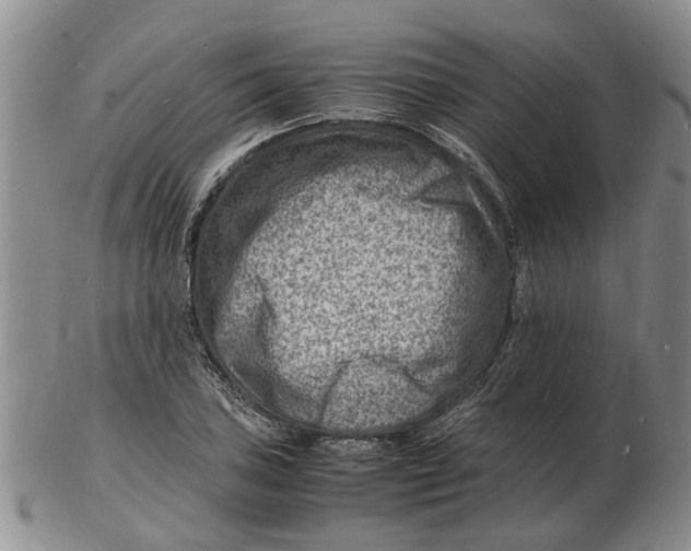 X0000102781027200809151058