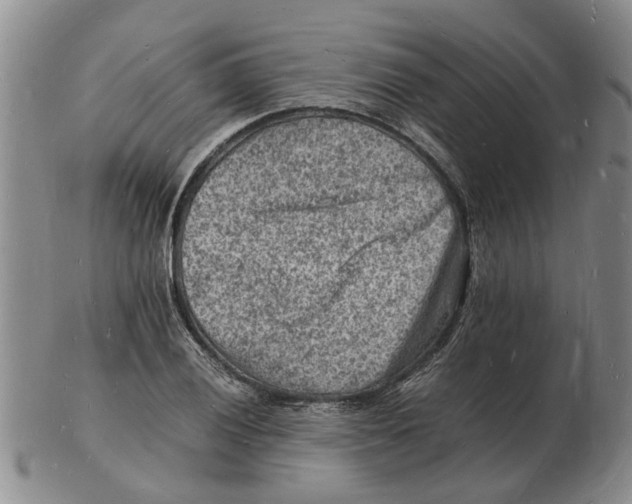 X0000102781028200809151058