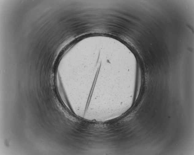 X0000102781029200809151058