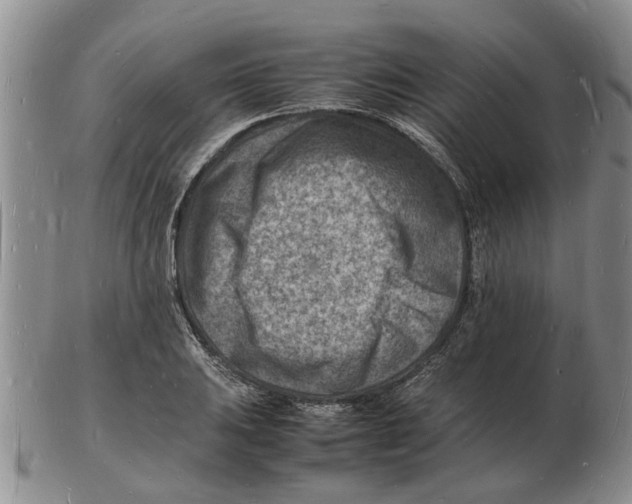 X0000102781031200809151058