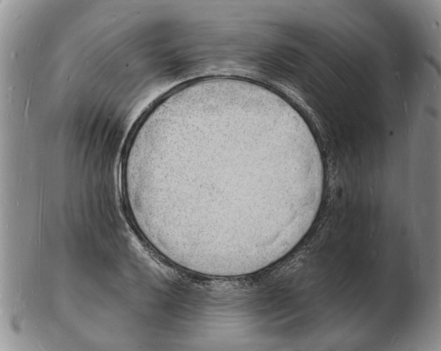 X0000102781032200809151058