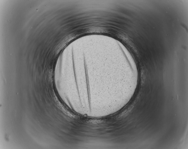 X0000102781033200809151058