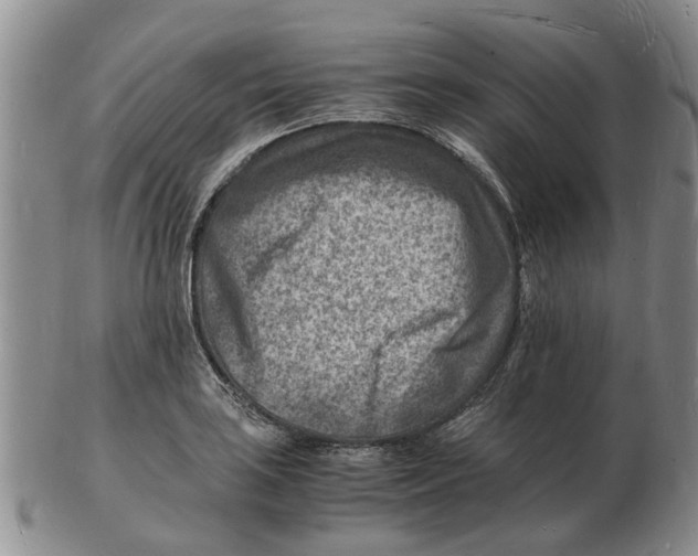 X0000102781035200809151058