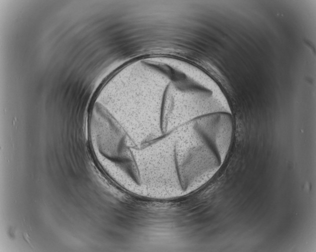 X0000102781036200809151058