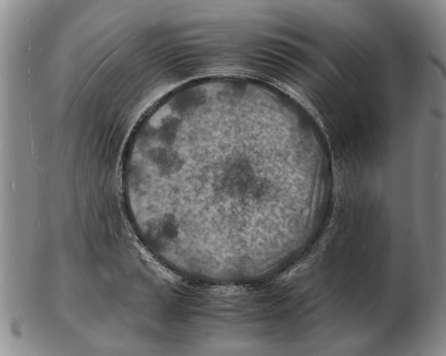 X0000102781037200809151058