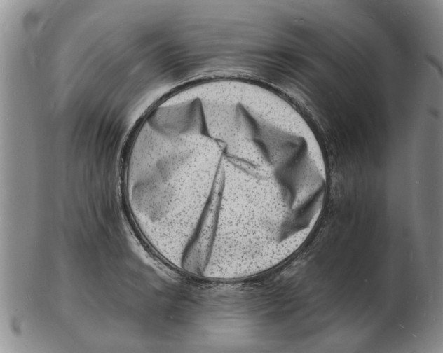 X0000102781038200809151058