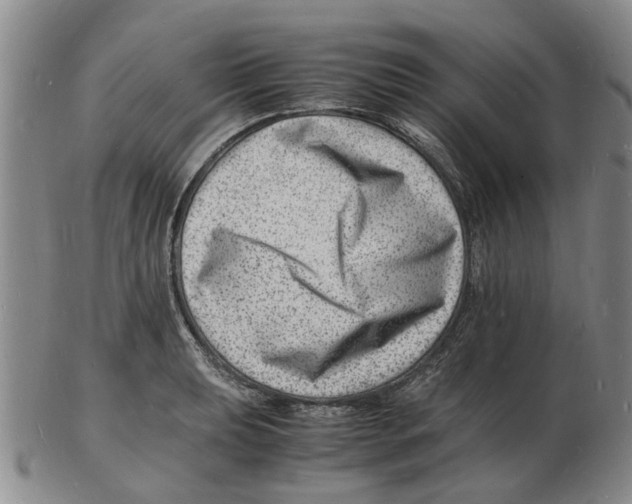 X0000102781039200809151058