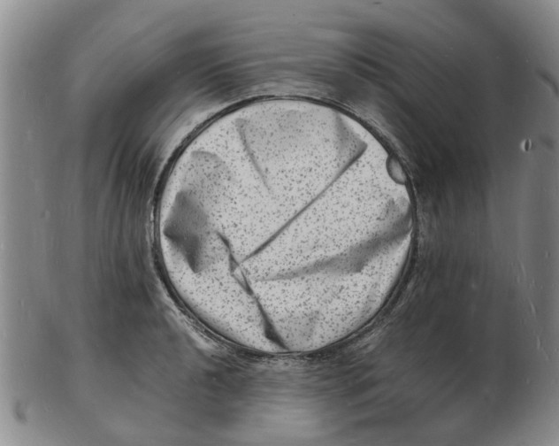 X0000102781040200809151058