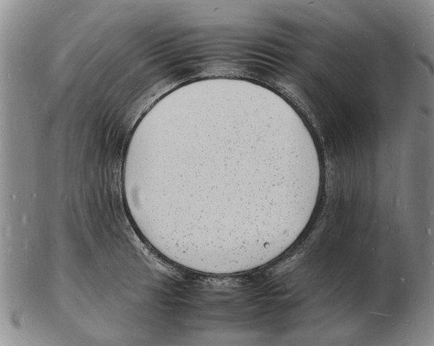 X0000102781041200809151058