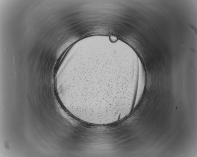 X0000102781042200809151058