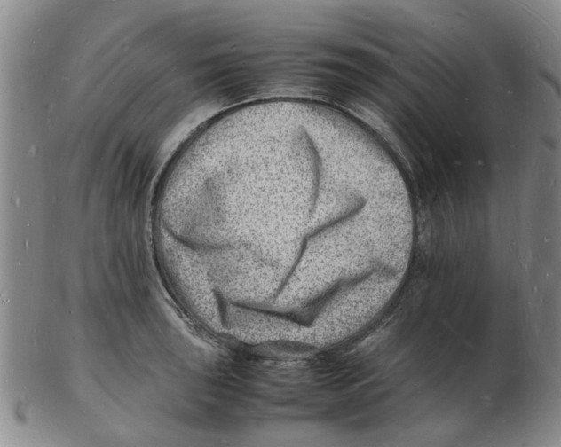 X0000102781043200809151058