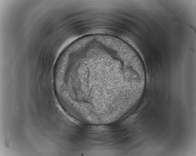 X0000102781045200809151058