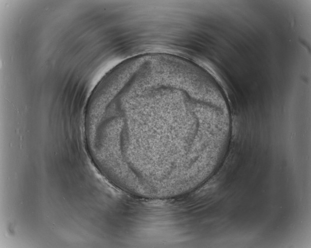 X0000102781048200809151058