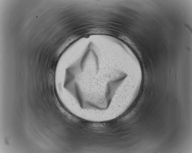 X0000102781049200809151058