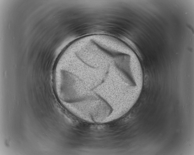 X0000102781051200809151058