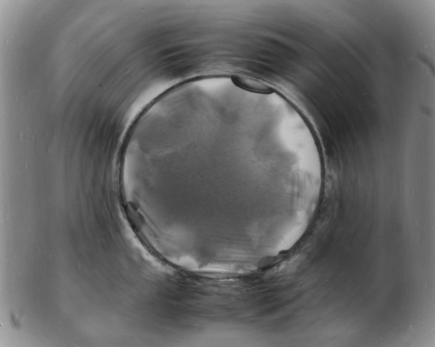 X0000102781053200809151058