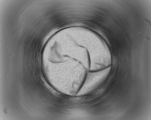 X0000102781054200809151058