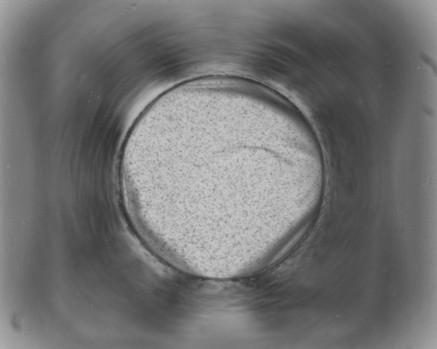 X0000102781056200809151058