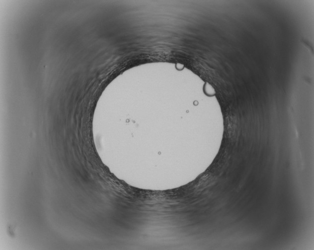 X0000102781057200809151058