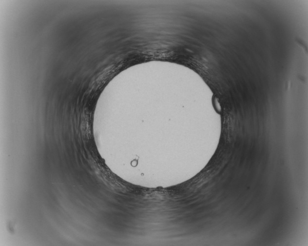 X0000102781058200809151058