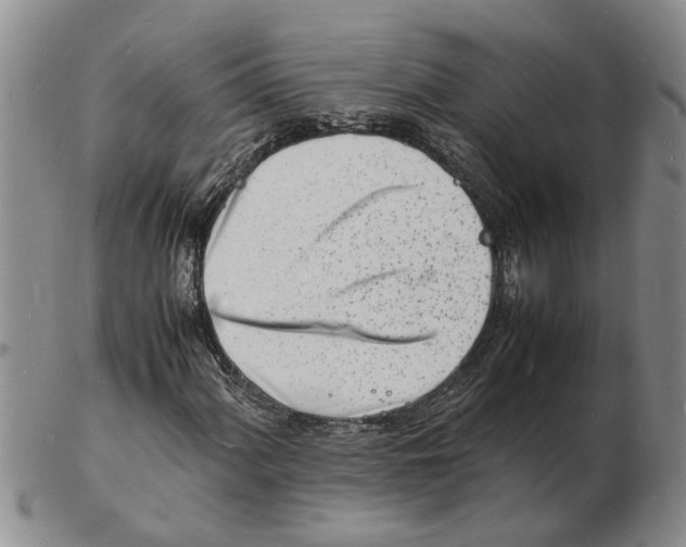 X0000102781060200809151058