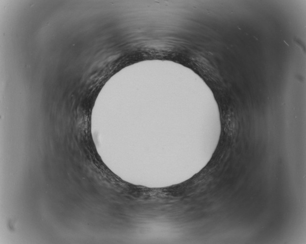 X0000102781061200809151058