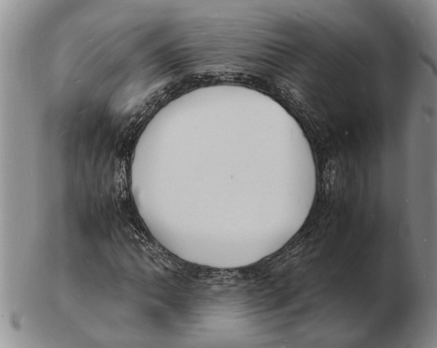 X0000102781062200809151057