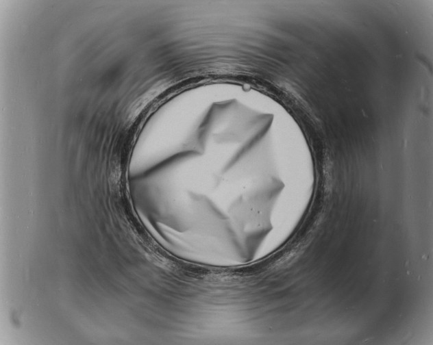 X0000102781065200809151057