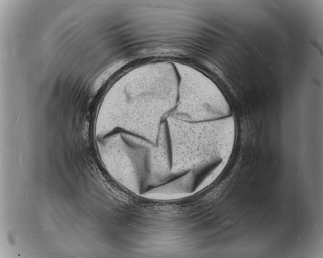 X0000102781066200809151057